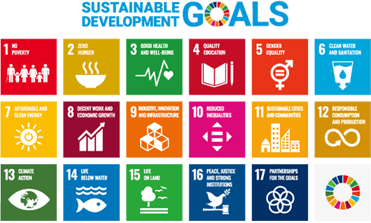 sdgs goal